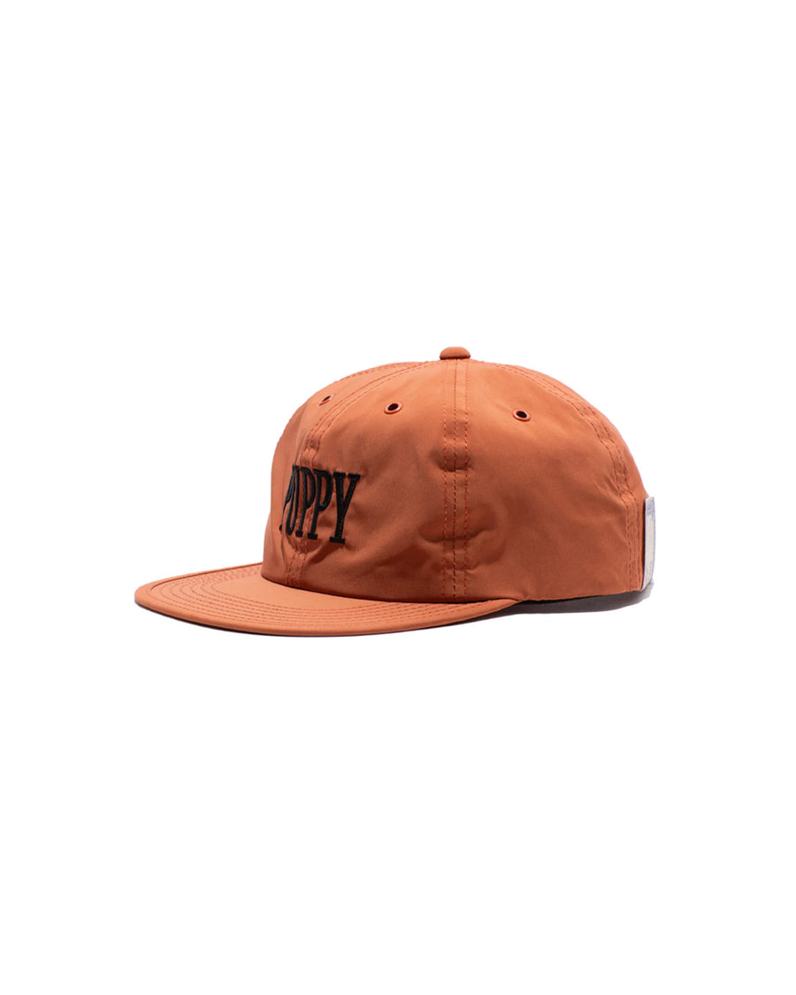 PUPPY SKATE CAP - Orange