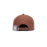 BIO TRUCKER CAP - Rust