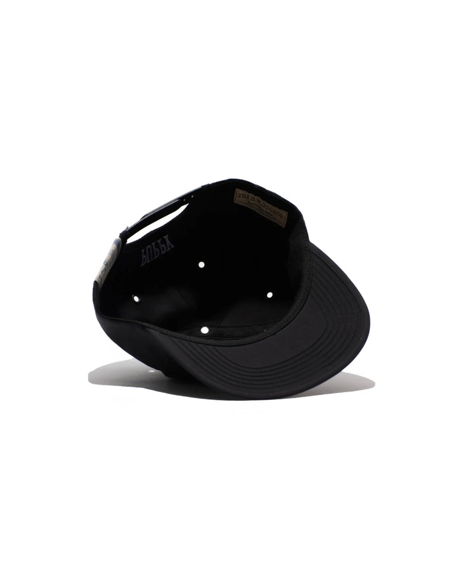 PUPPY SKATE CAP - Black