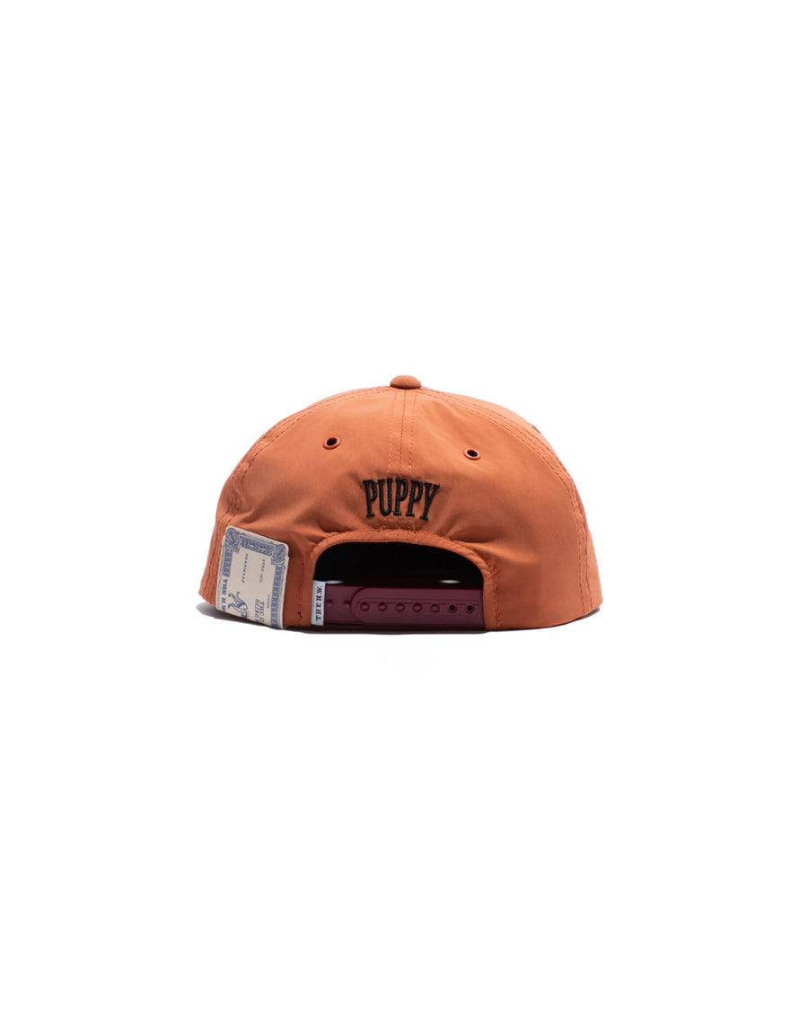 PUPPY SKATE CAP - Orange