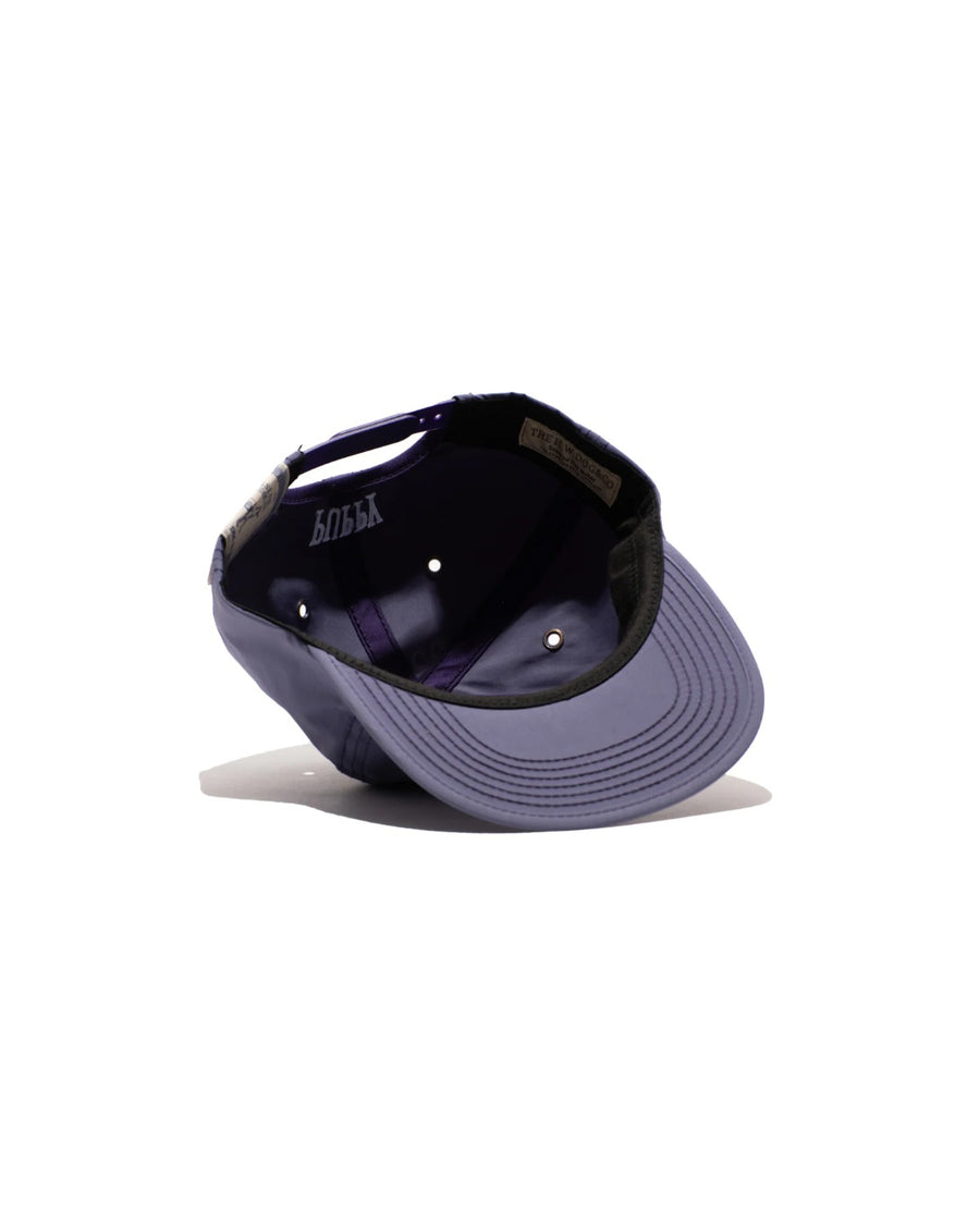PUPPY SKATE CAP - Purple